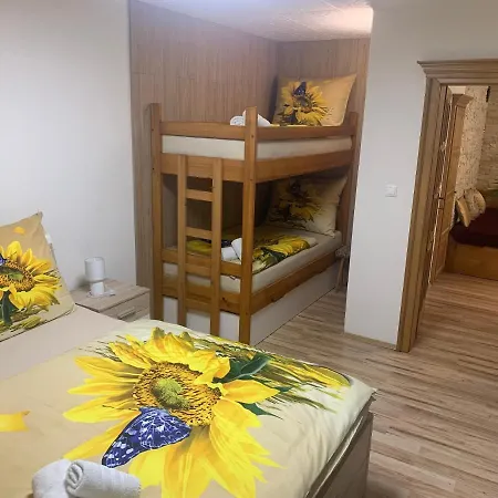 Apartmán Slunečnice s terasou Ceske Budejovice Exterior foto