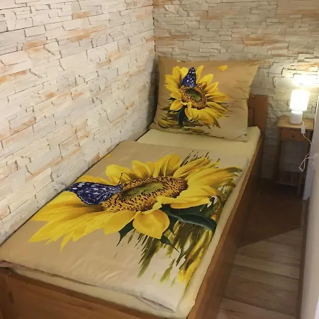 Apartmán Slunečnice s terasou Ceske Budejovice Exterior foto
