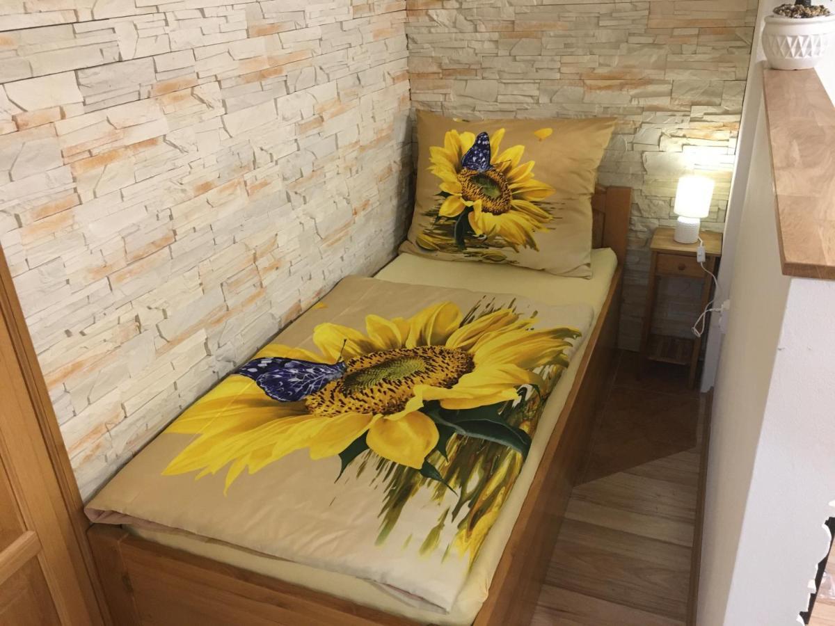 Slunecnice S Terasou * Ceske Budejovice