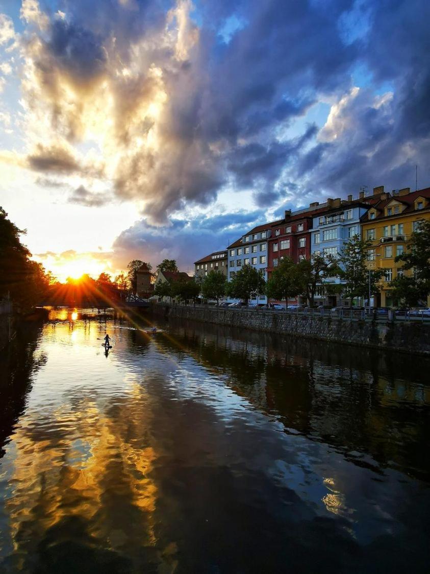 Slunecnice S Terasou * Ceske Budejovice